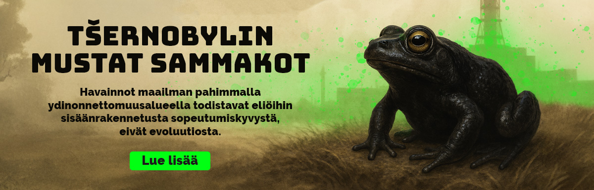 Tšernobylin mustat sammakot